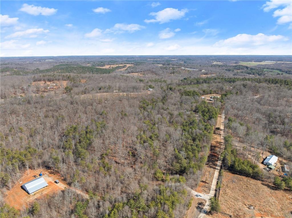 5419 Highway 320 Carnesville, GA 30521 - Photo 19 of 25 view of city and mountain