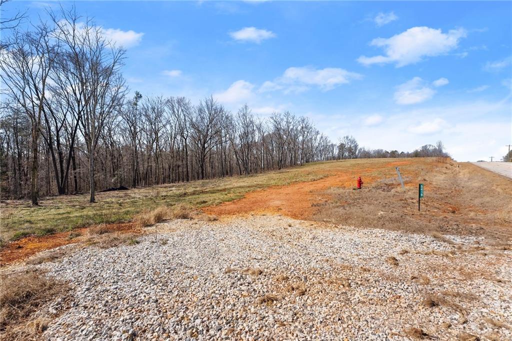 5419 Highway 320 Carnesville, GA 30521 - Photo 2 of 25 a view of a yard with an trees