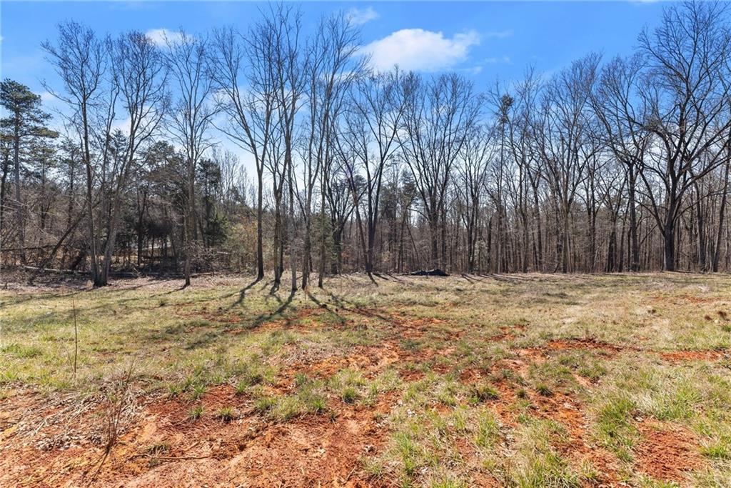 5419 Highway 320 Carnesville, GA 30521 - Photo 4 of 25 a view of a yard with trees