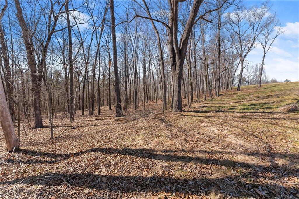 5419 Highway 320 Carnesville, GA 30521 - Photo 5 of 25 a view of park with large trees