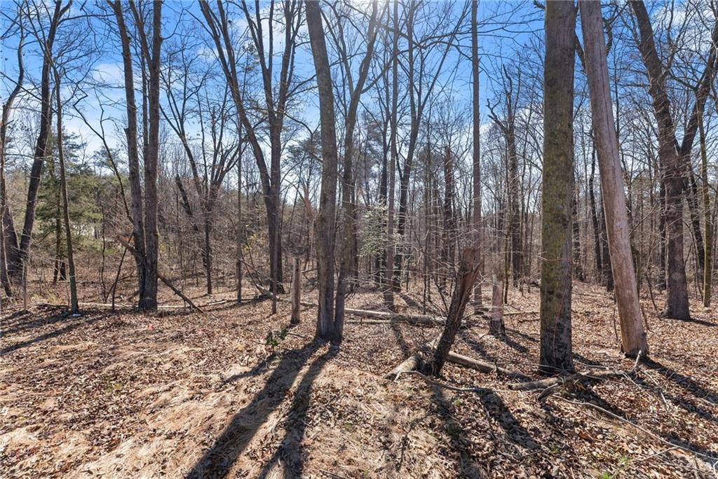 5419 Highway 320 Carnesville, GA 30521 - Photo 6 of 25 a view of a forest filled with trees