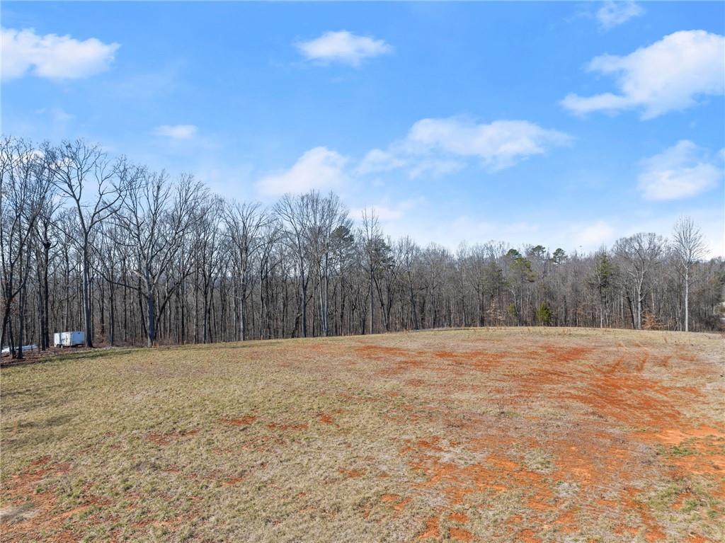 5419 Highway 320 Carnesville, GA 30521 - Photo 7 of 25 a view of basketball court
