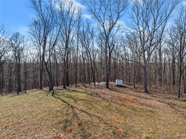 a view of outdoor space with trees
