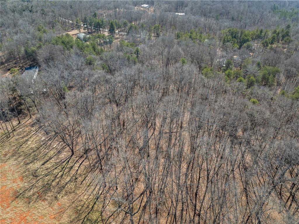 5419 Highway 320 Carnesville, GA 30521 - Photo 10 of 25 a view of a dry yard with trees