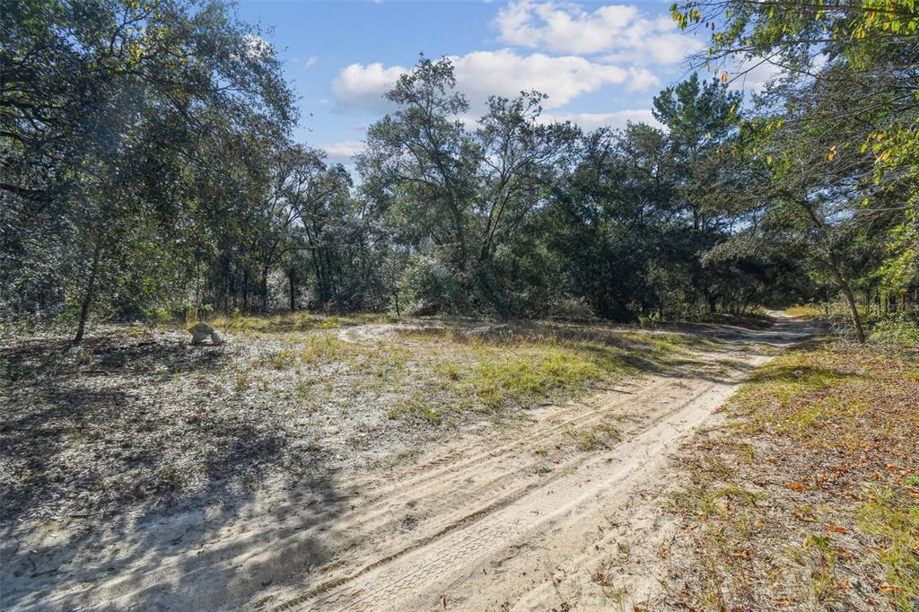2903 Tyler Street Inverness, FL 34453 - Photo 3 of 11 a view of outdoor space with trees