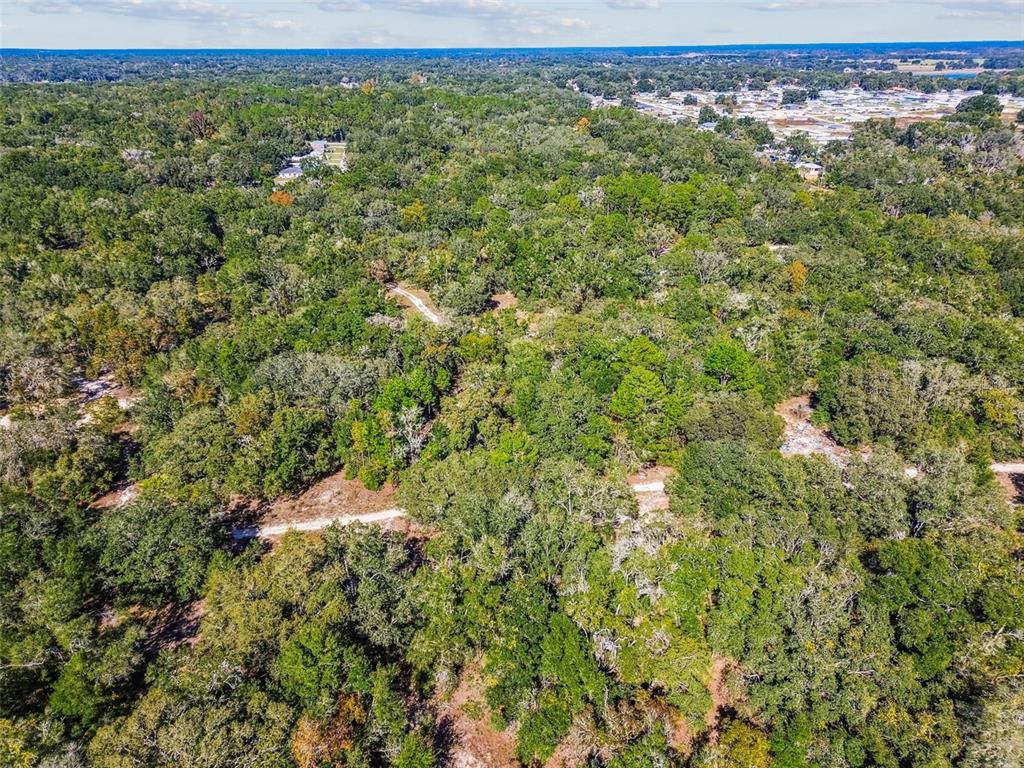 2903 Tyler Street Inverness, FL 34453 - Photo 9 of 11 a view of a trees in a field