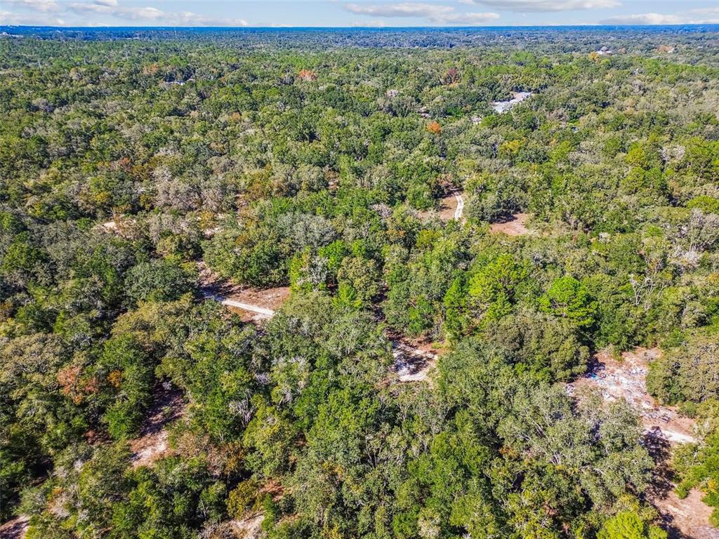 2903 Tyler Street Inverness, FL 34453 - Photo 10 of 11 view of a field with an outdoor space