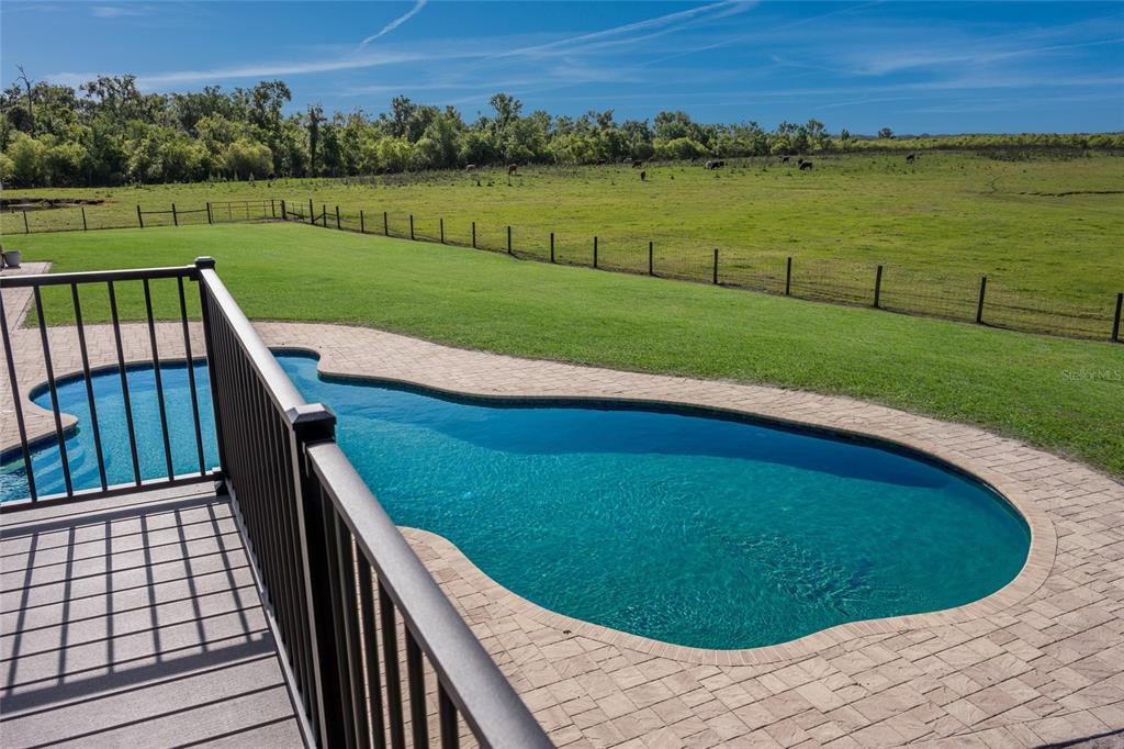 30854 Singletary Road Myakka City, FL 34251 - Photo 57 of 68