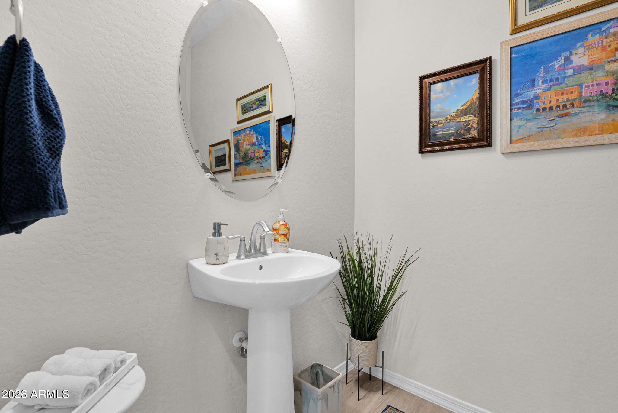 7723 West Willow Way Florence, AZ 85132 - Photo 30 of 64 a bathroom with a sink a mirror and a potted plant