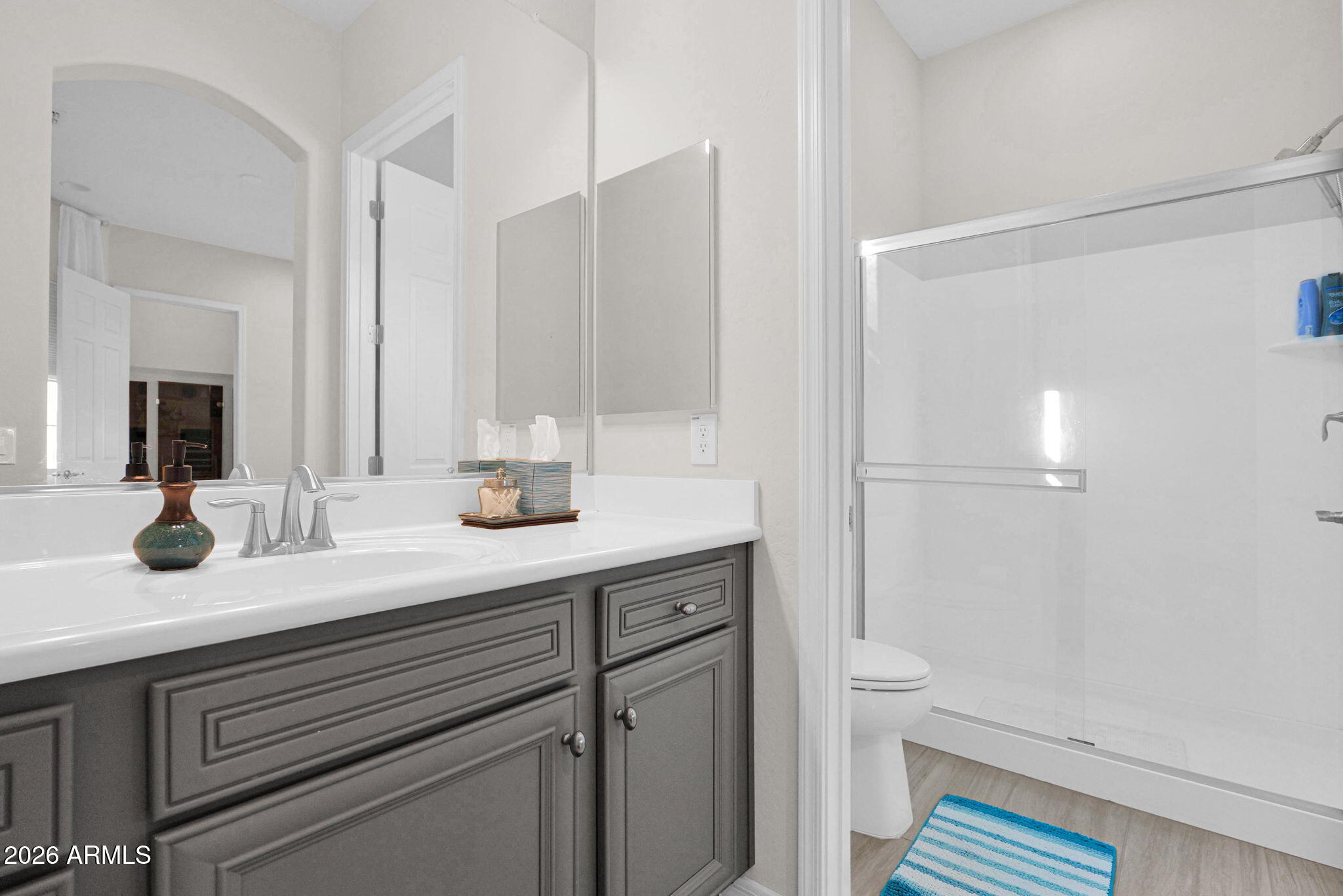 7723 West Willow Way Florence, AZ 85132 - Photo 36 of 64 a bathroom with a sink a toilet and shower