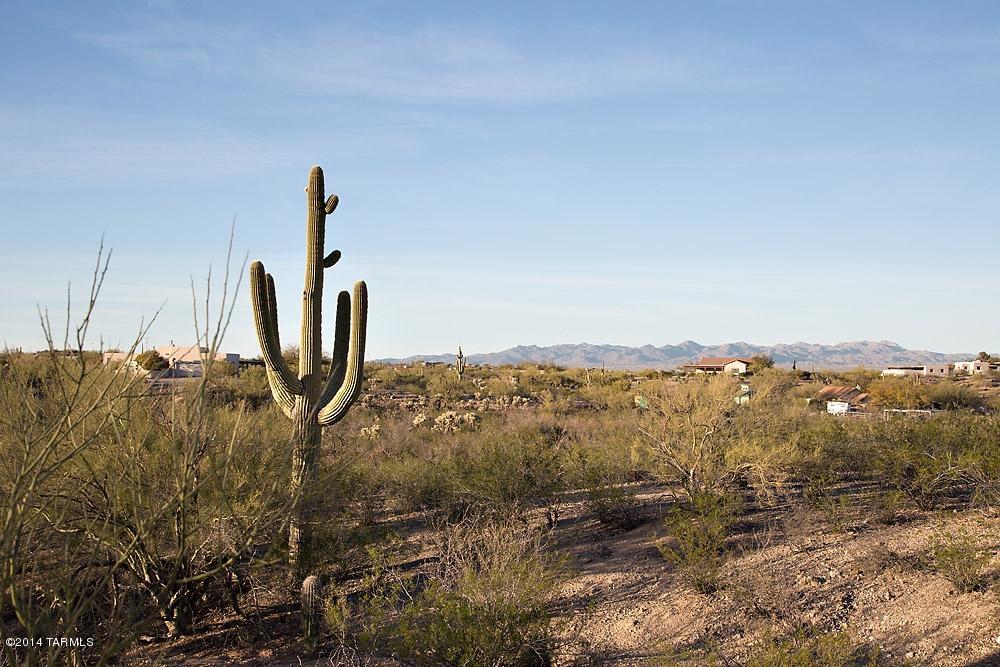 5053 North Blue Bonnet Road Tucson, AZ 85745 - Photo 40 of 47 Gallery Image 40