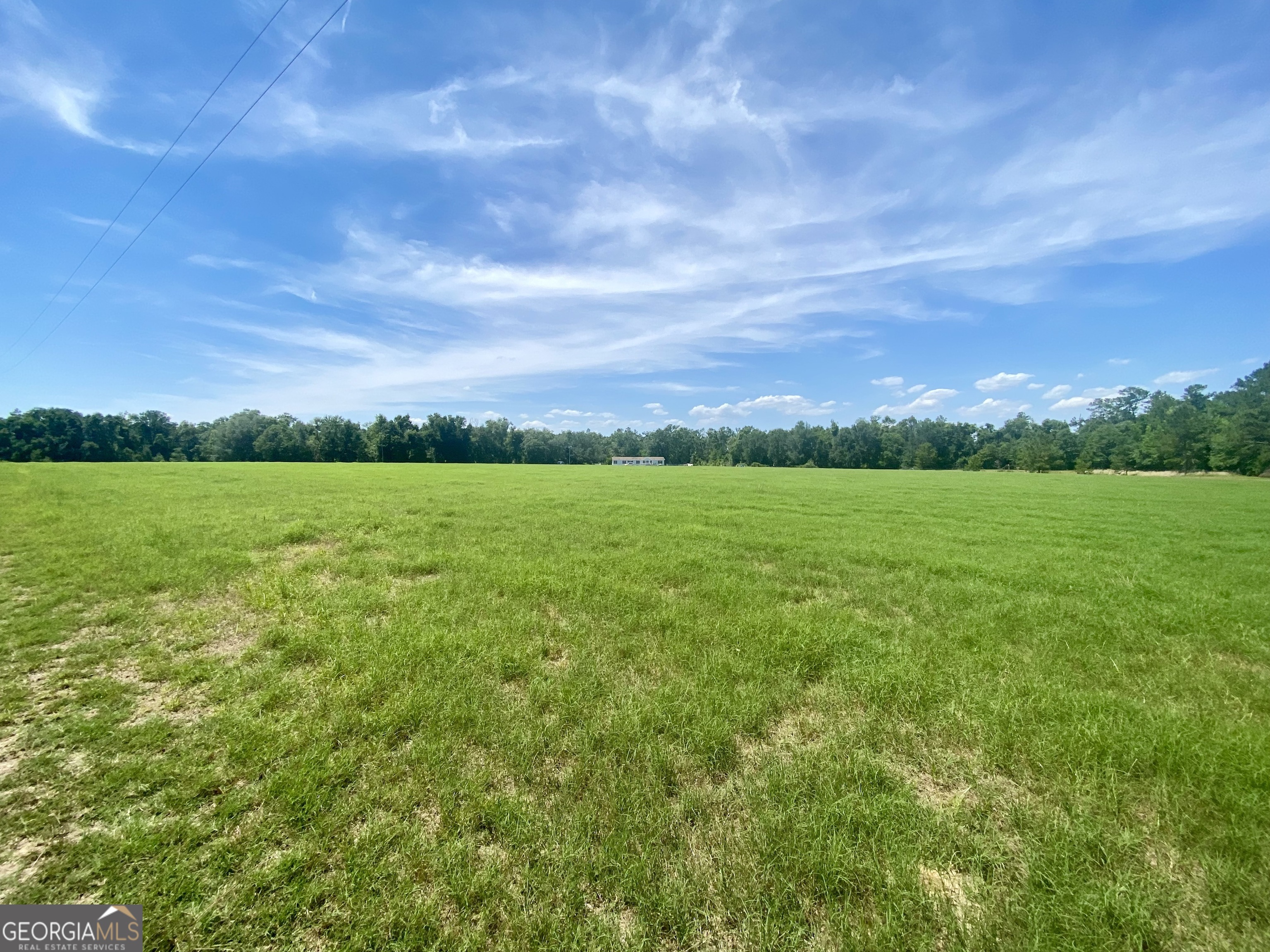 5879 Beatty Mill Creek Road Ray City, GA 31645 - Photo 2 of 5