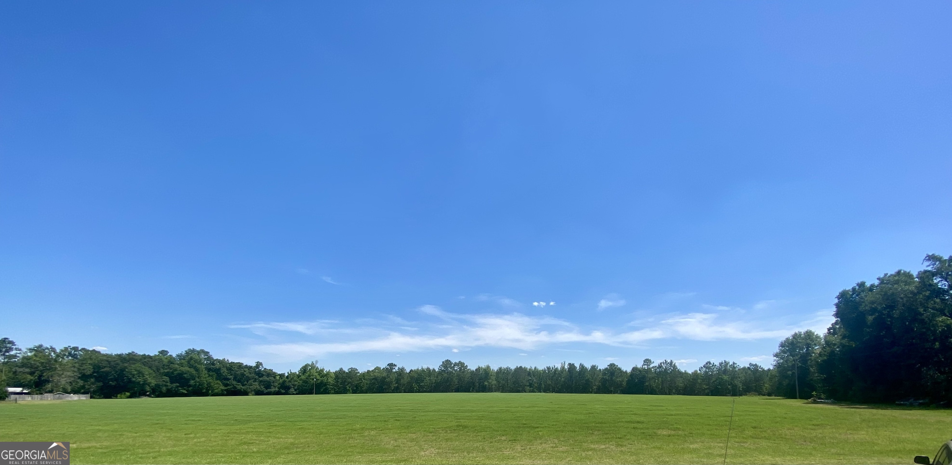 5879 Beatty Mill Creek Road Ray City, GA 31645 - Photo 3 of 5