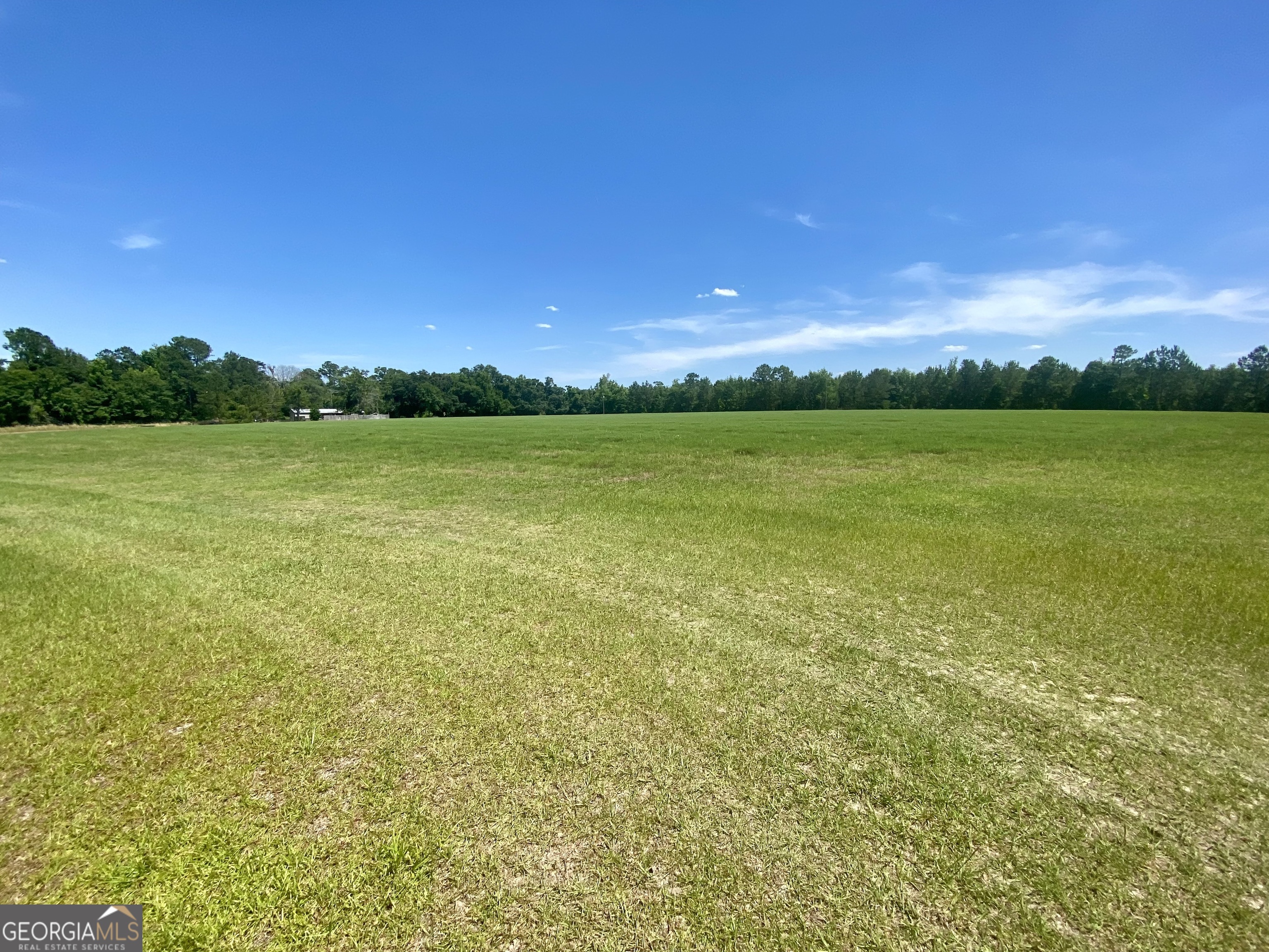 5879 Beatty Mill Creek Road Ray City, GA 31645 - Photo 4 of 5