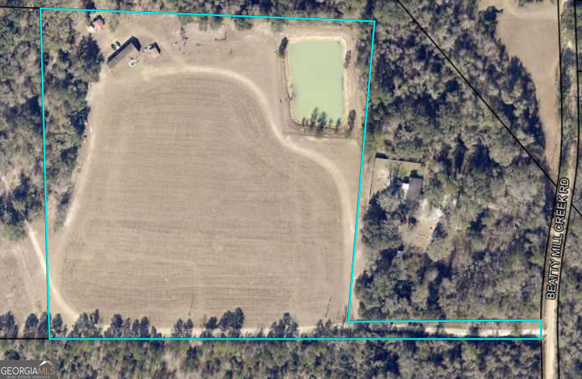 5879 Beatty Mill Creek Road Ray City, GA 31645 - Photo 5 of 5