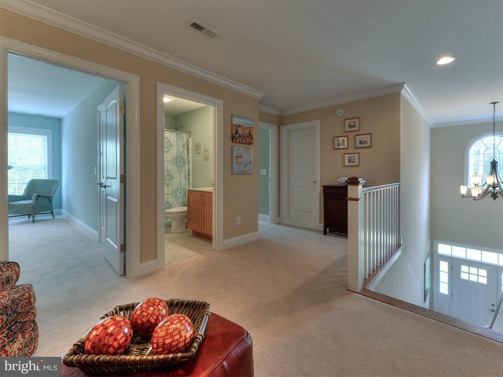116 Cornwall Road Rehoboth Beach, DE 19971 - Photo 19 of 28 Gallery Image 19