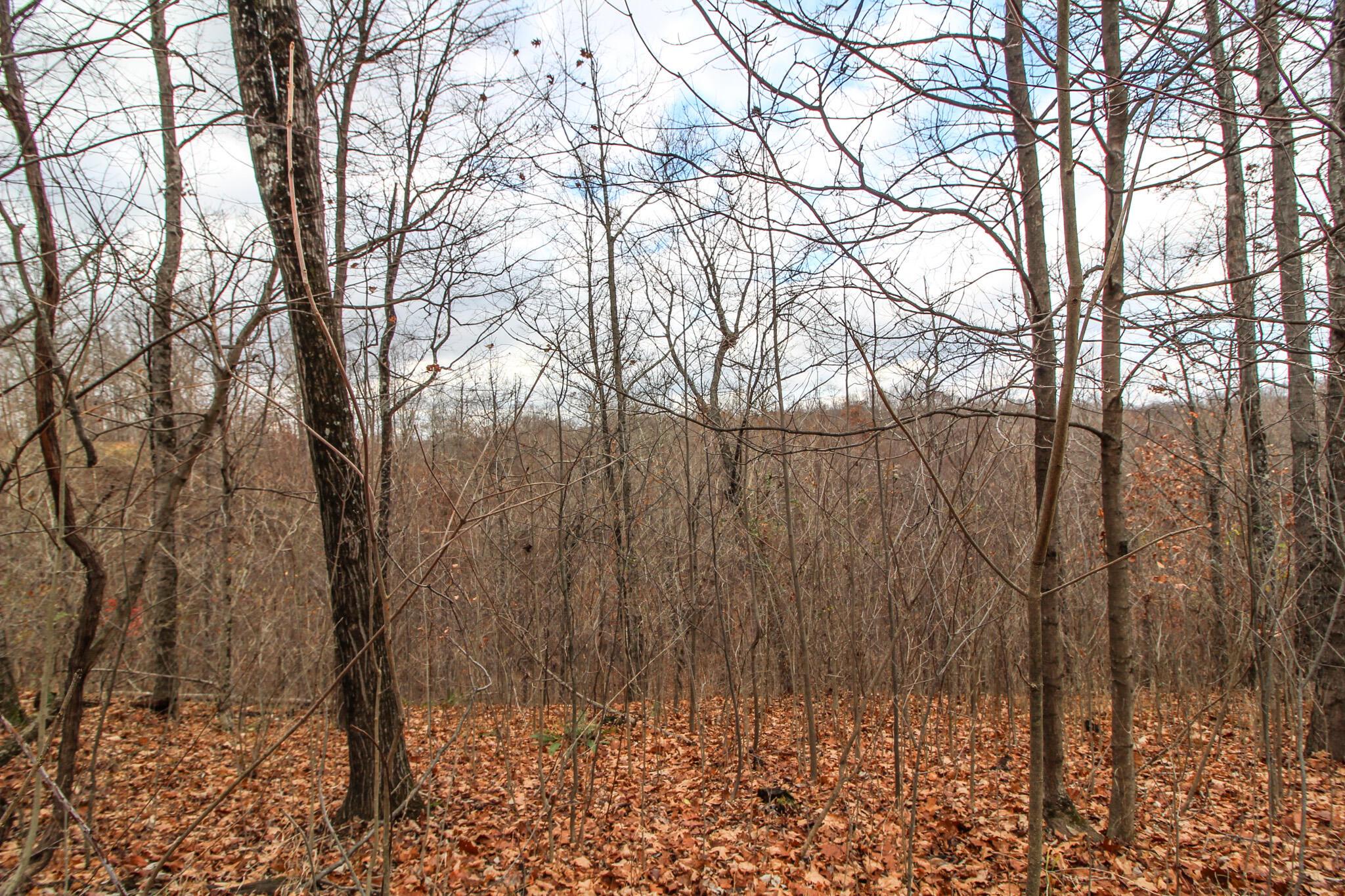 0 Virginia Ridge Road Philo, OH 43771 - Photo 22 of 29 IMG_7611
