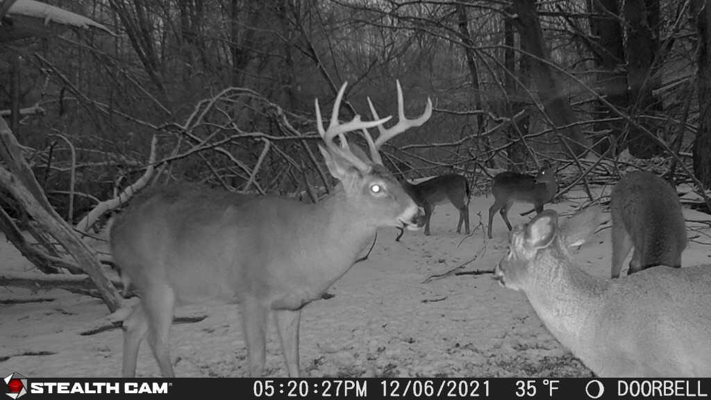 V/l Wyman Road Remus, MI 49340 - Photo 103 of 113 IMG_6517