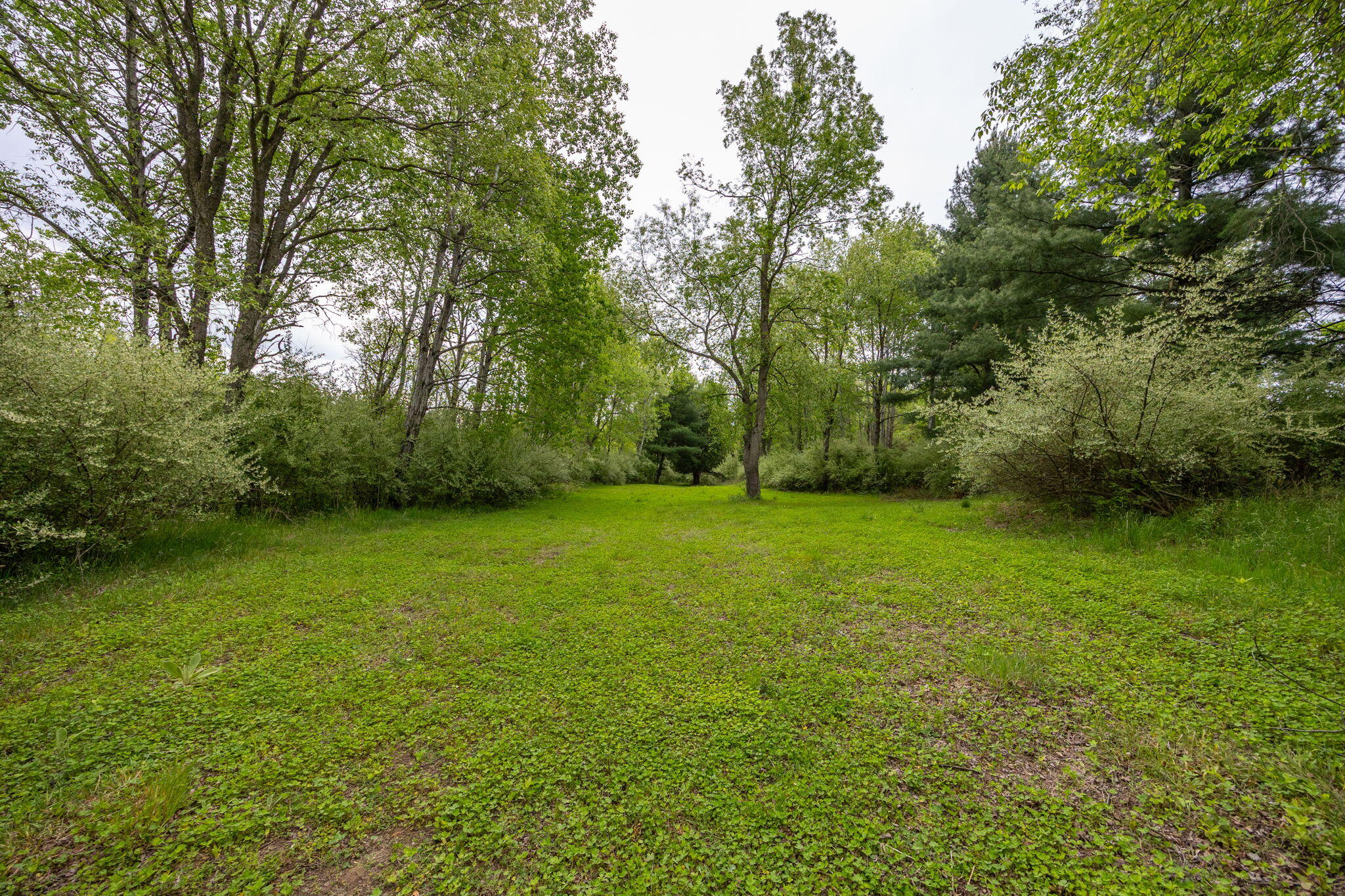 V/l Wyman Road Remus, MI 49340 - Photo 11 of 113 37-web-or-mls-5L7A1111