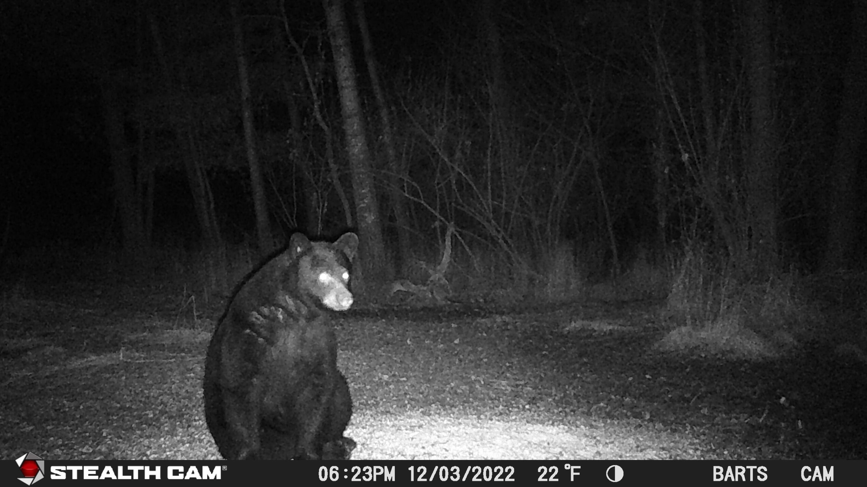 V/l Wyman Road Remus, MI 49340 - Photo 113 of 113 STC_1178