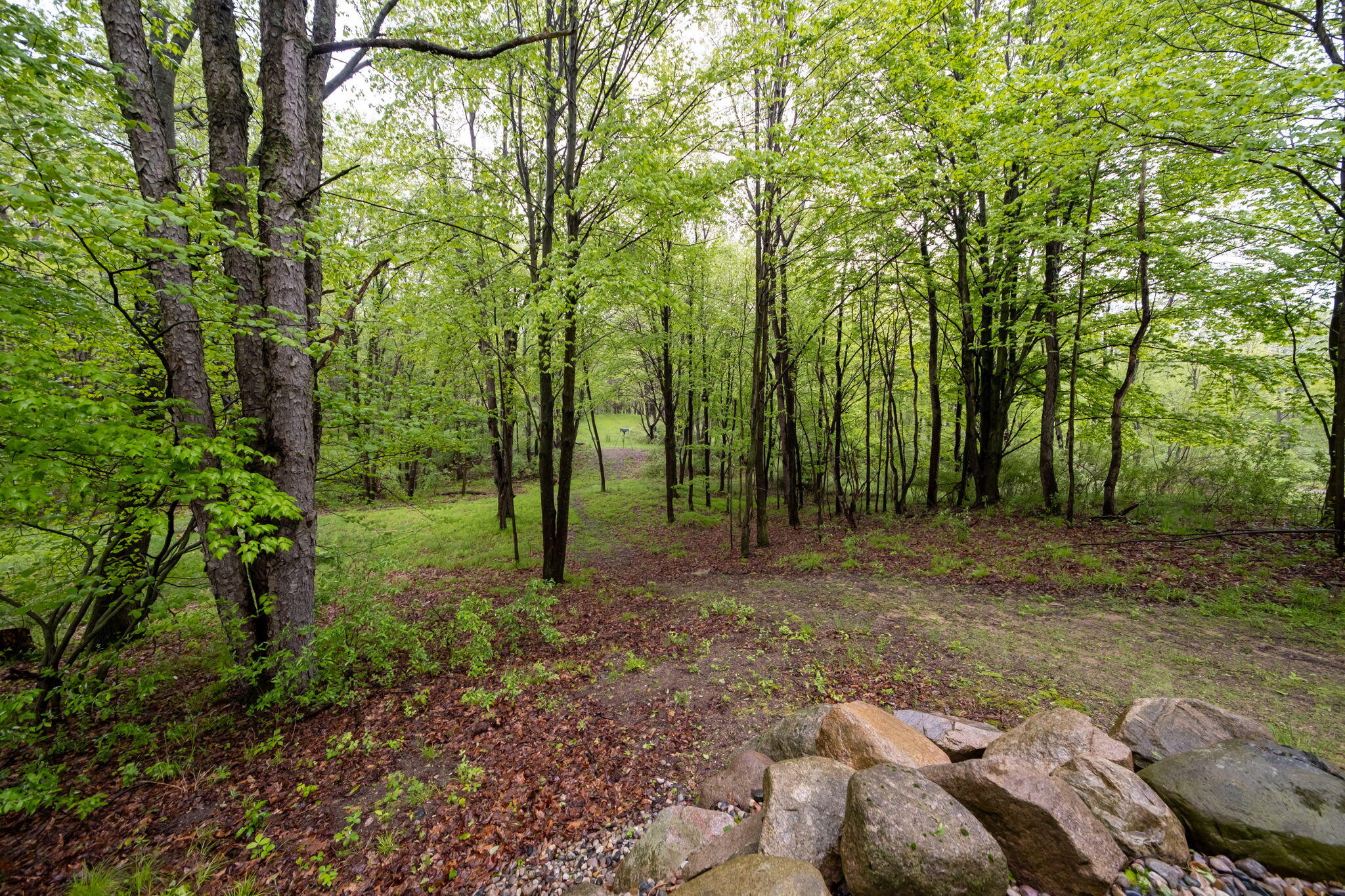 V/l Wyman Road Remus, MI 49340 - Photo 50 of 113 29-web-or-mls-DSCF8187