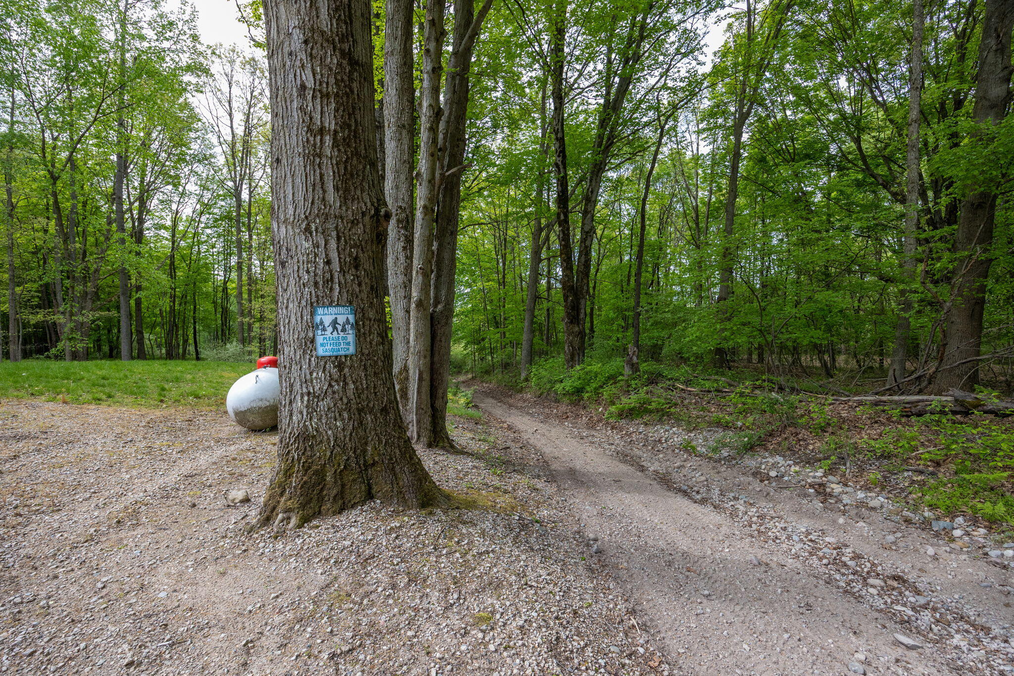 V/l Wyman Road Remus, MI 49340 - Photo 56 of 113 50-web-or-mls-5L7A1202