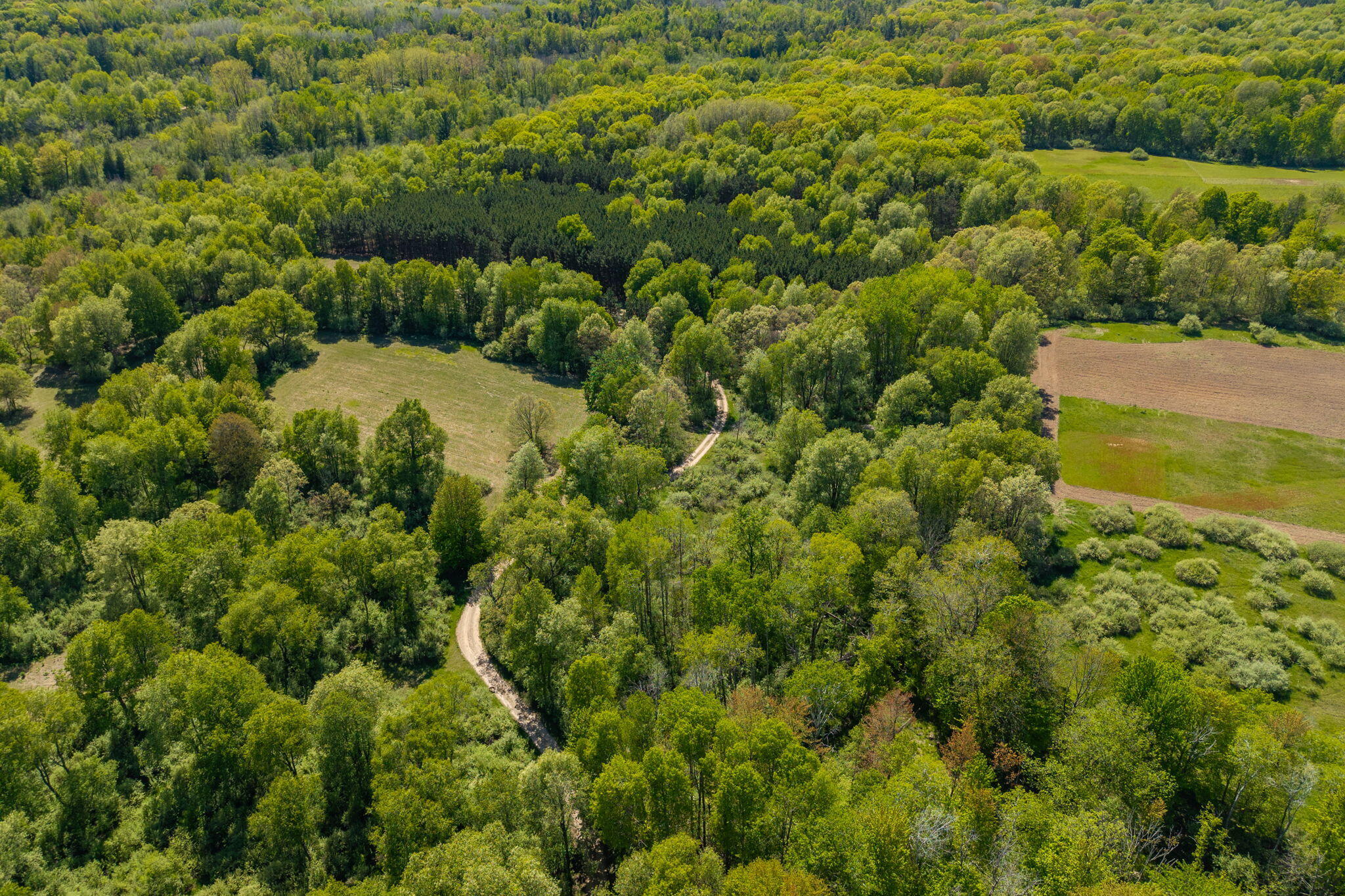 V/l Wyman Road Remus, MI 49340 - Photo 58 of 113 54-web-or-mls-DJI_20250527034631_0491_D