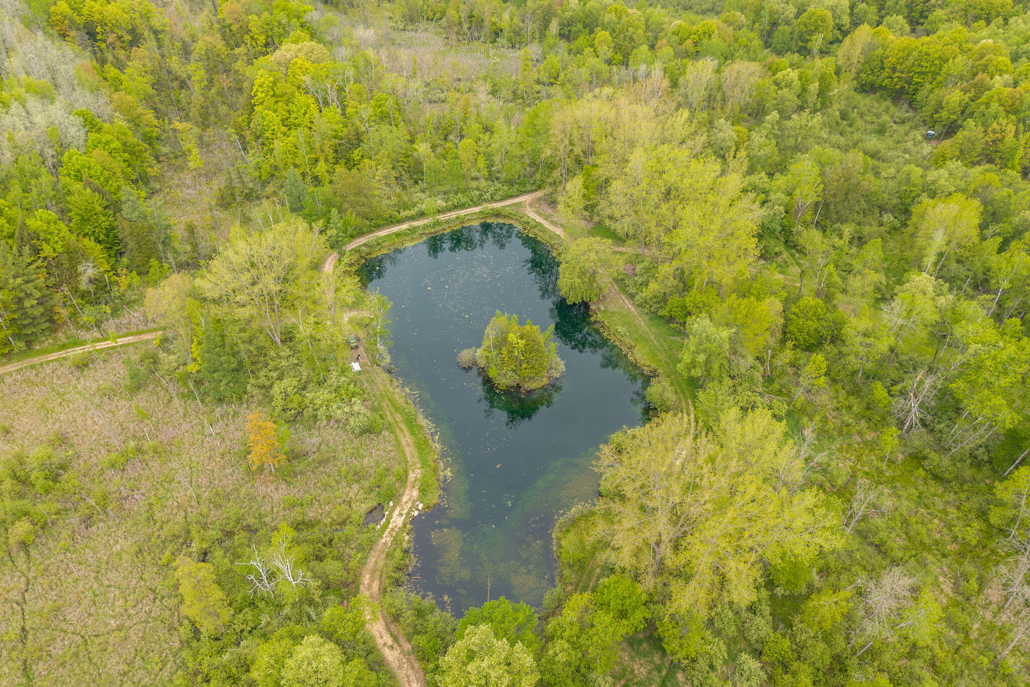 V/l Wyman Road Remus, MI 49340 - Photo 60 of 113 58-web-or-mls-DJI_20250528222853_0659_D