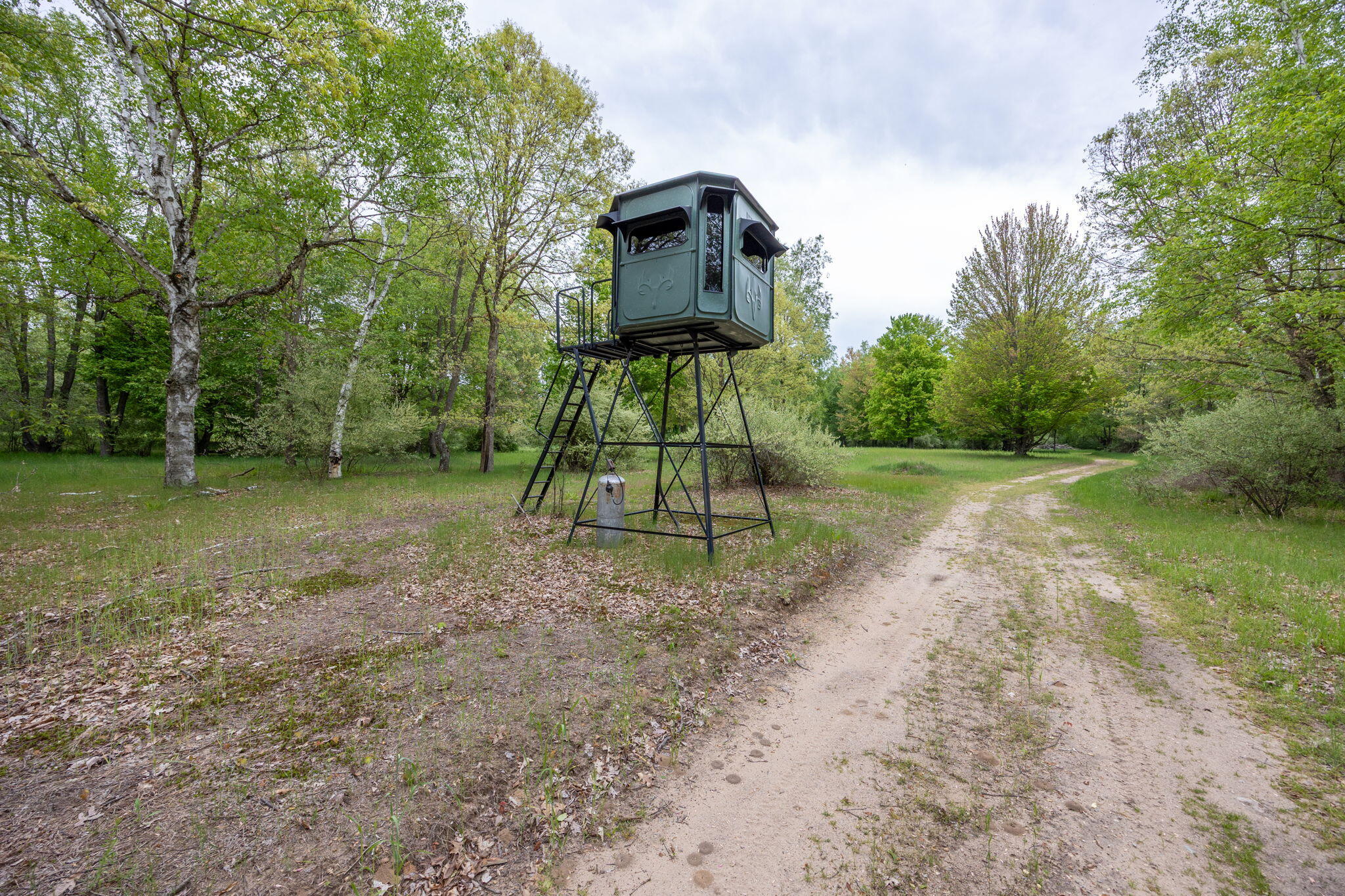 V/l Wyman Road Remus, MI 49340 - Photo 65 of 113 66-web-or-mls-5L7A1082