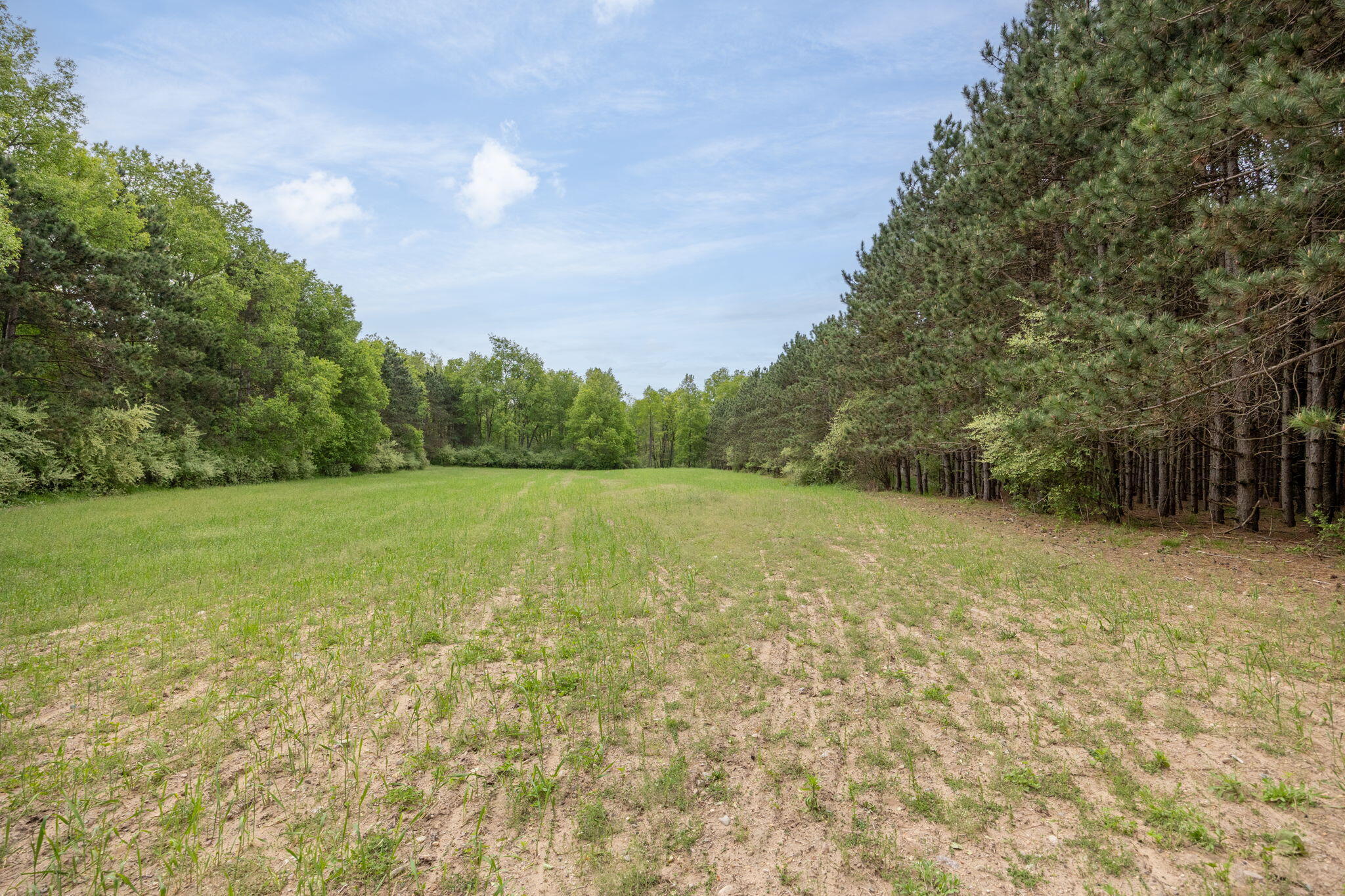 V/l Wyman Road Remus, MI 49340 - Photo 8 of 113 39-web-or-mls-5L7A1124-Edit