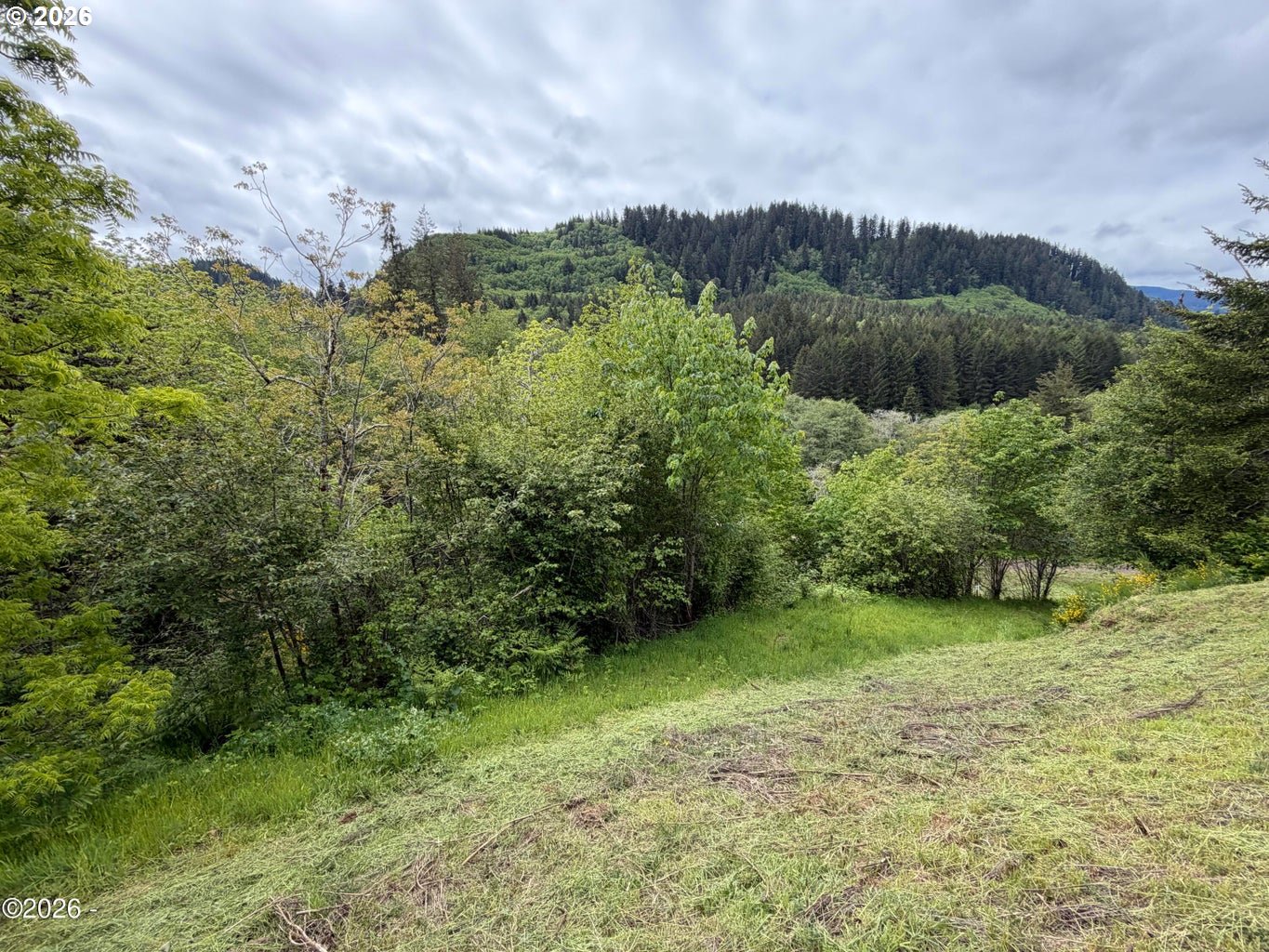301 Upper Nestucca River Road Beaver, OR 97108 - Photo 16 of 23