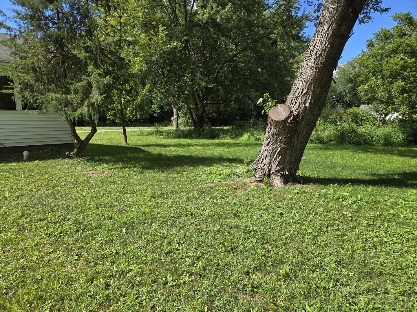 26895 Bernice Street Wauconda, IL 60084 - Photo 16 of 16 a view of a park with a tree
