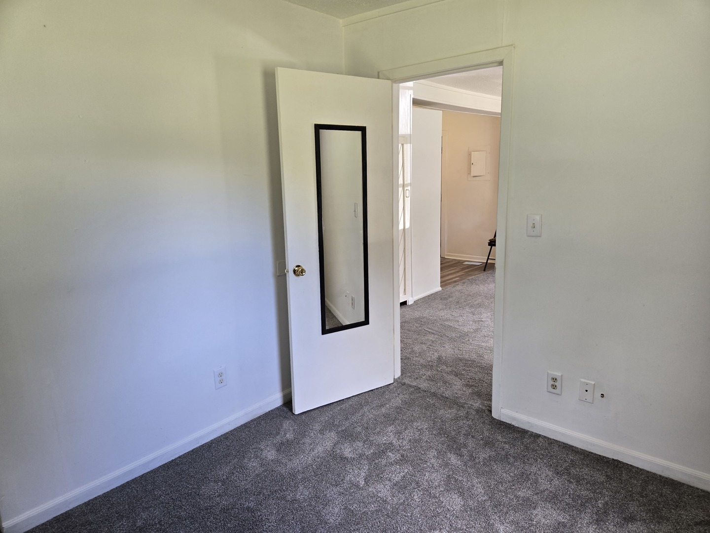 26895 Bernice Street Wauconda, IL 60084 - Photo 10 of 16 an empty room with a mirror