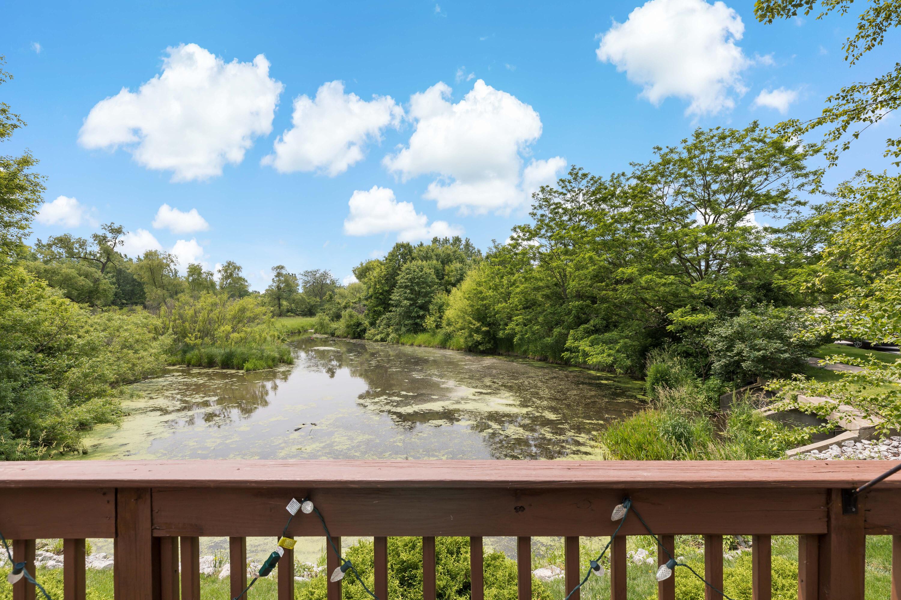 1705 Ravin Nest Court Crown Point, IN 46307 - Photo 10 of 32 3000x2000