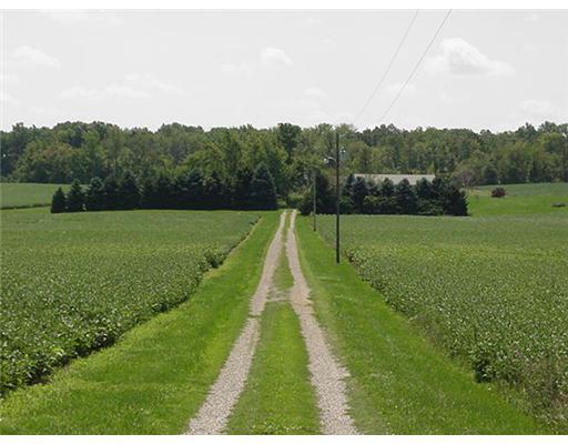 6139 West State Rte 29 De Graff, OH 43318 - Photo 5 of 14