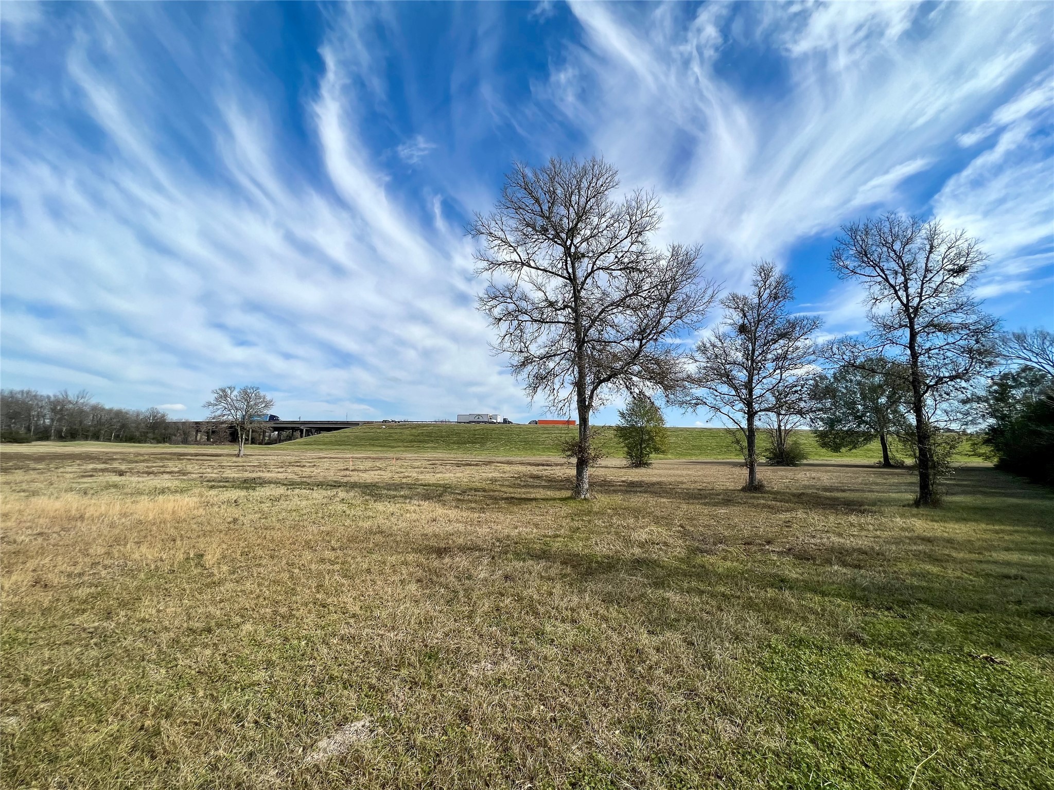 6 S Navasota, TX 77868 - Photo 11 of 15 a view of a field with trees