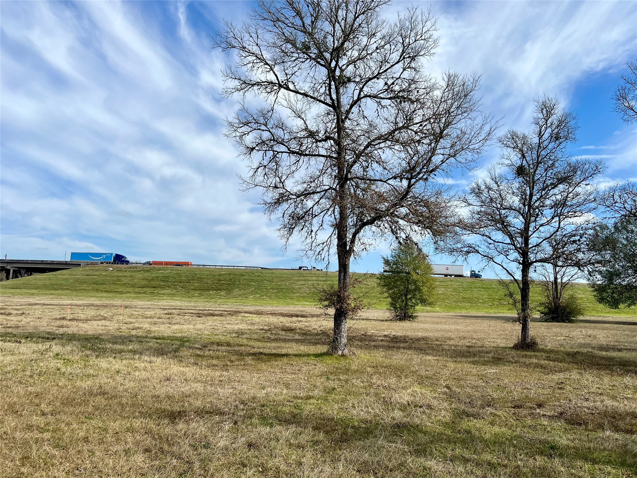 6 S Navasota, TX 77868 - Photo 12 of 15 a view of yard with an trees