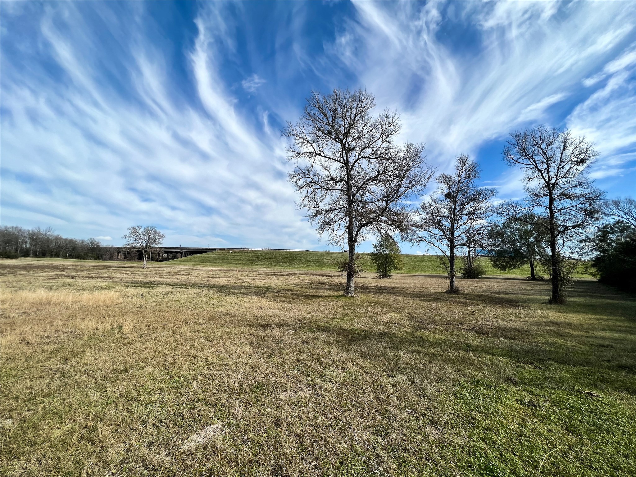 6 S Navasota, TX 77868 - Photo 13 of 15 a view of outdoor space with trees