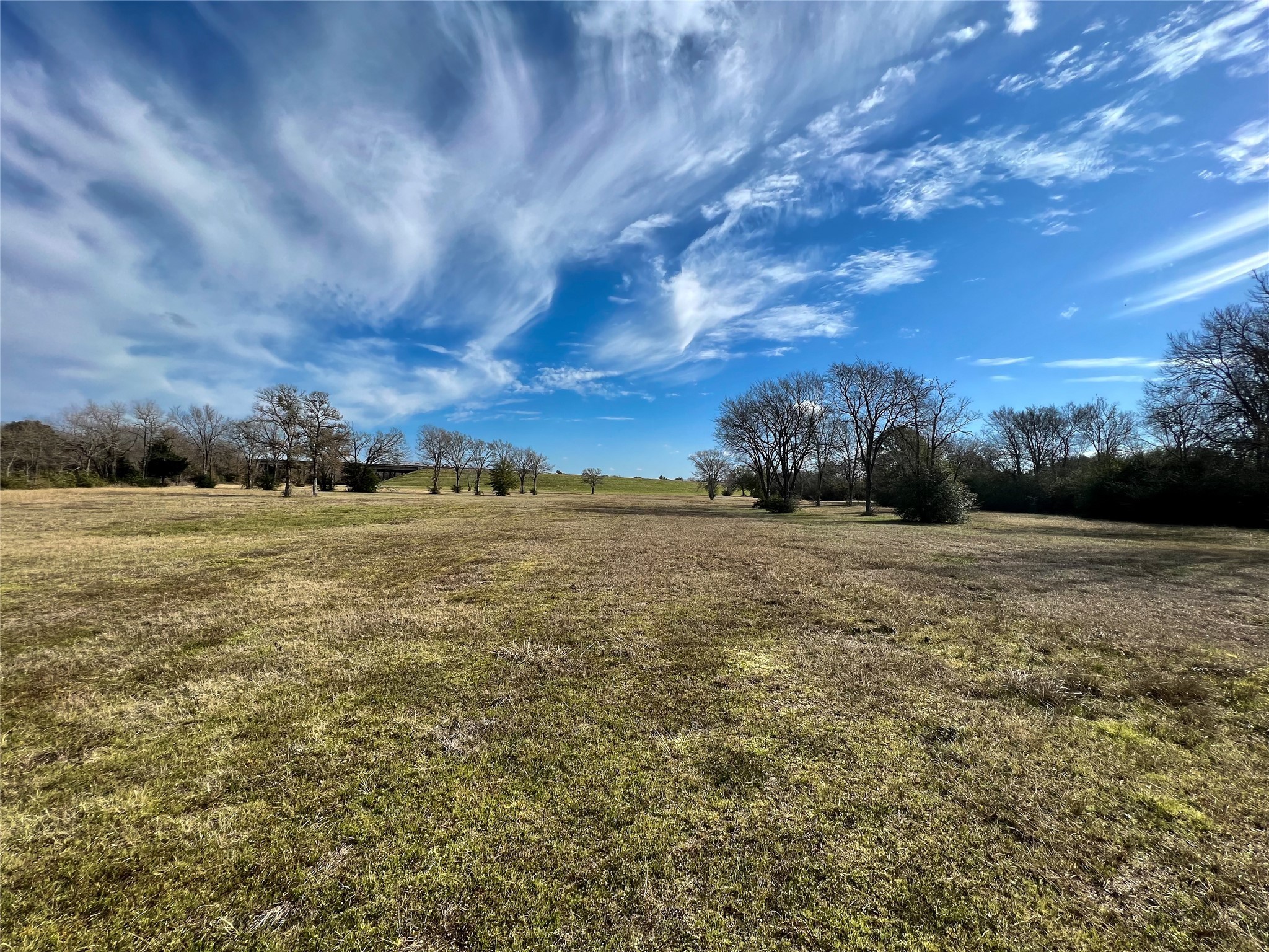 6 S Navasota, TX 77868 - Photo 6 of 15 a view of a field with an ocean