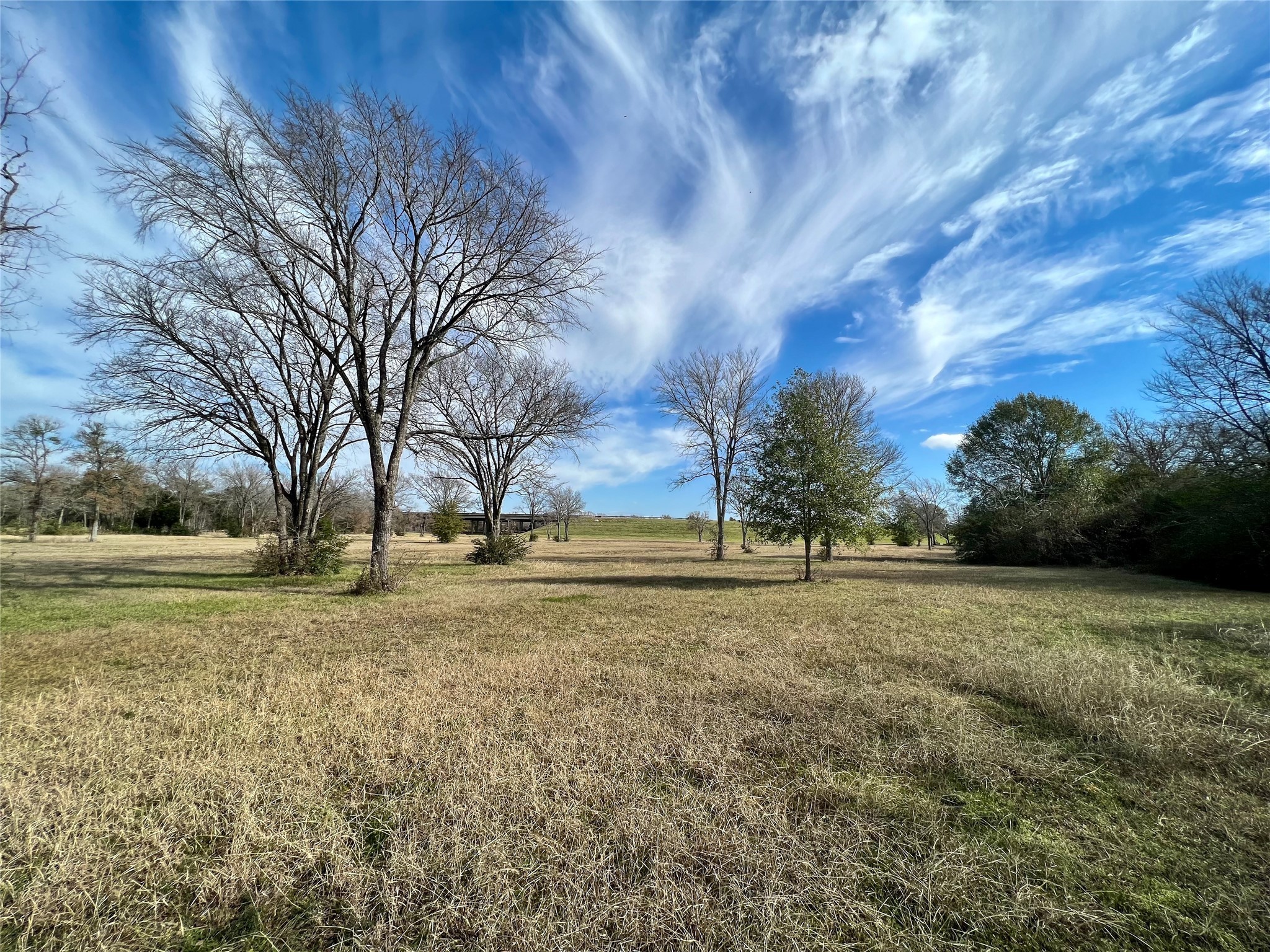 6 S Navasota, TX 77868 - Photo 8 of 15 a view of a yard with a house