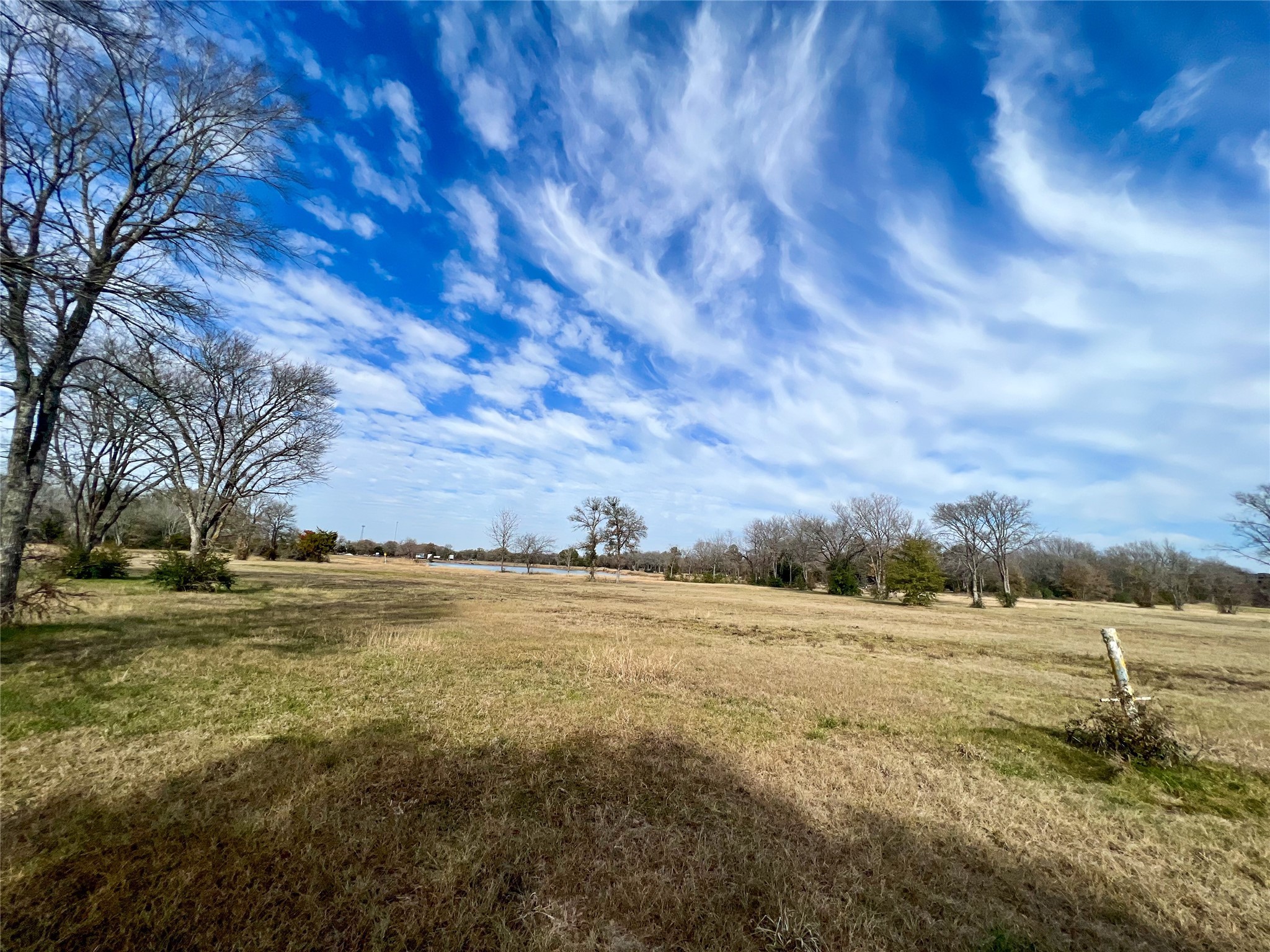 6 S Navasota, TX 77868 - Photo 10 of 15 a view of a field with an trees