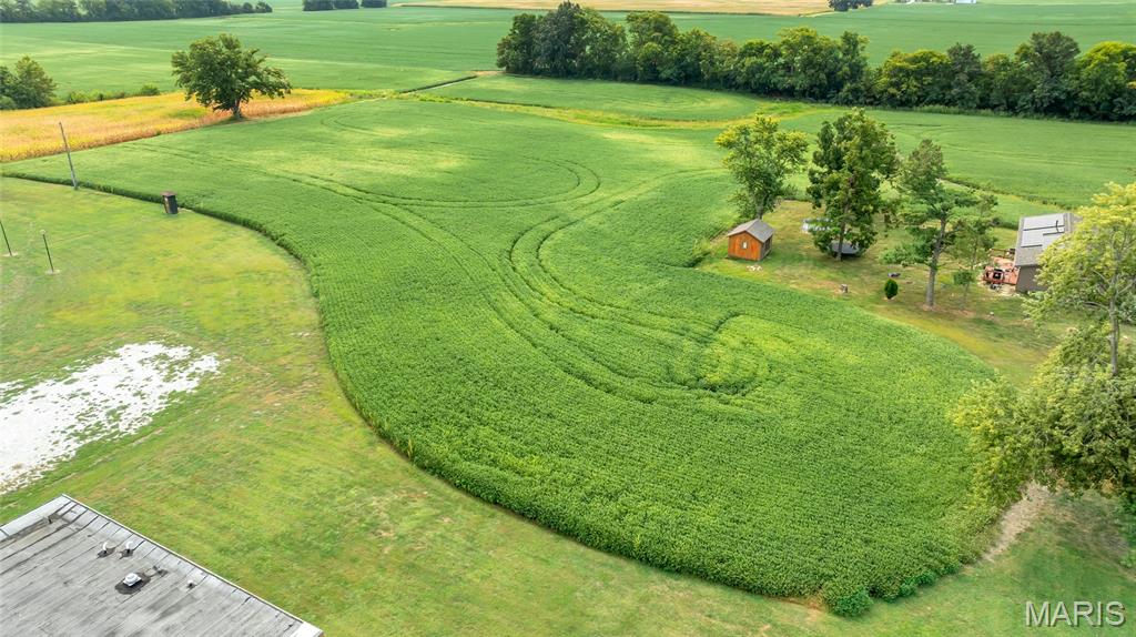 Lot 1 East Back Street Hecker, IL 62248 - Photo 3 of 9