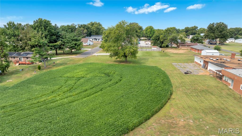 Lot 1 East Back Street Hecker, IL 62248 - Photo 4 of 9