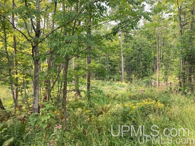Tbd Old Mill Road Toivola, MI 49965 - Photo 13 of 25 Gallery Image 13