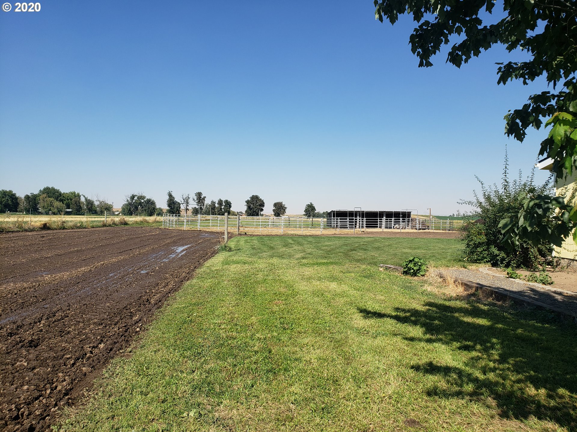 52183 Sunquist Road Milton Freewater, OR 97862 - Photo 4 of 24