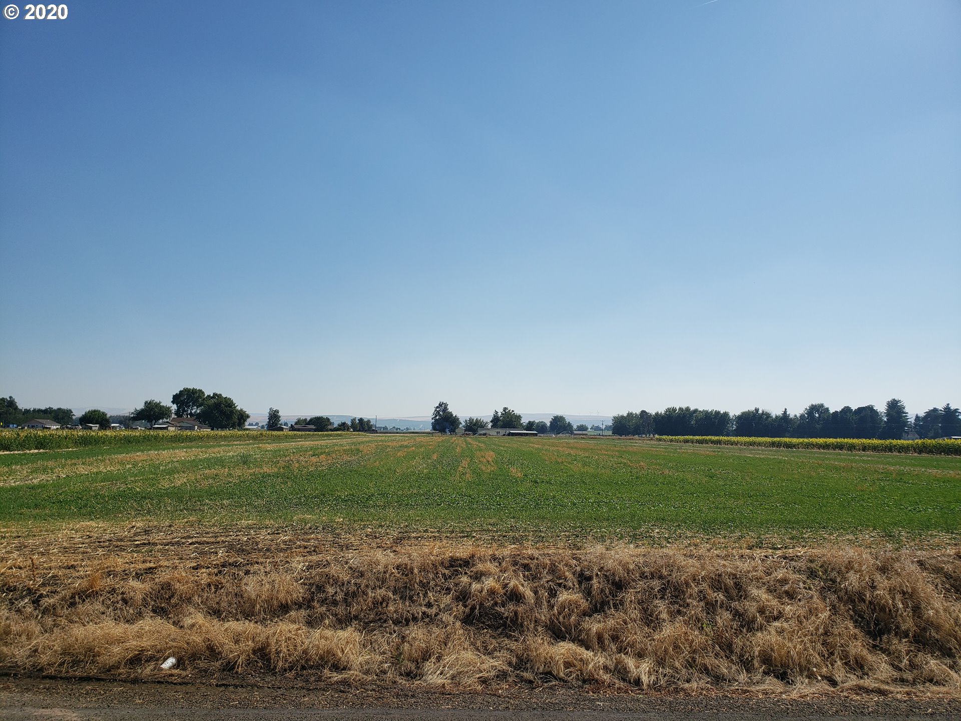 52183 Sunquist Road Milton Freewater, OR 97862 - Photo 7 of 24