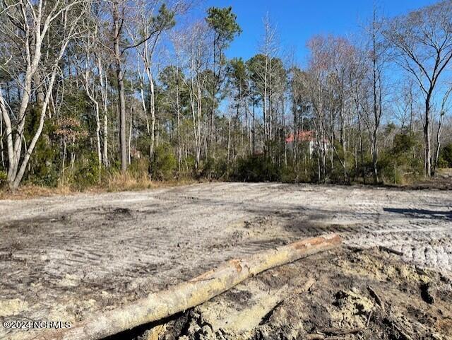 L159 Sea Turtle Lane Hampstead, NC 28443 - Photo 9 of 20 thumbnail_72970520690__118994AD-4A04-4C4