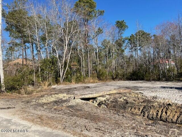 L159 Sea Turtle Lane Hampstead, NC 28443 - Photo 10 of 20 thumbnail_72970522954__4C9B16BB-EF97-476