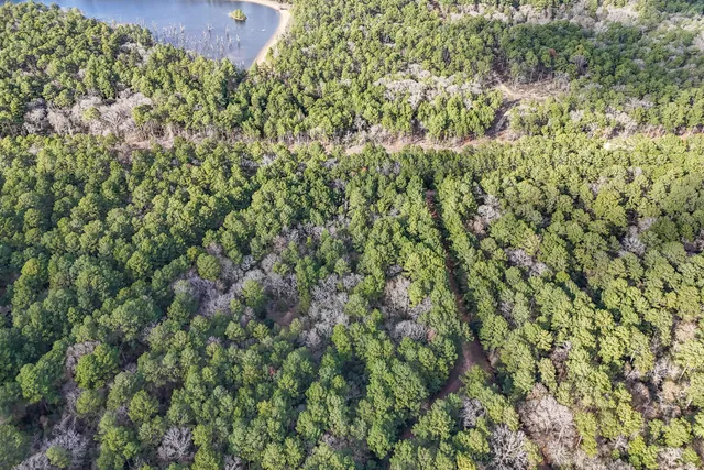a view of a city with lush green forest