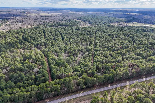 a view of a yard with plants